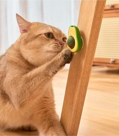 Juguete antiestrés para gatos con catnip