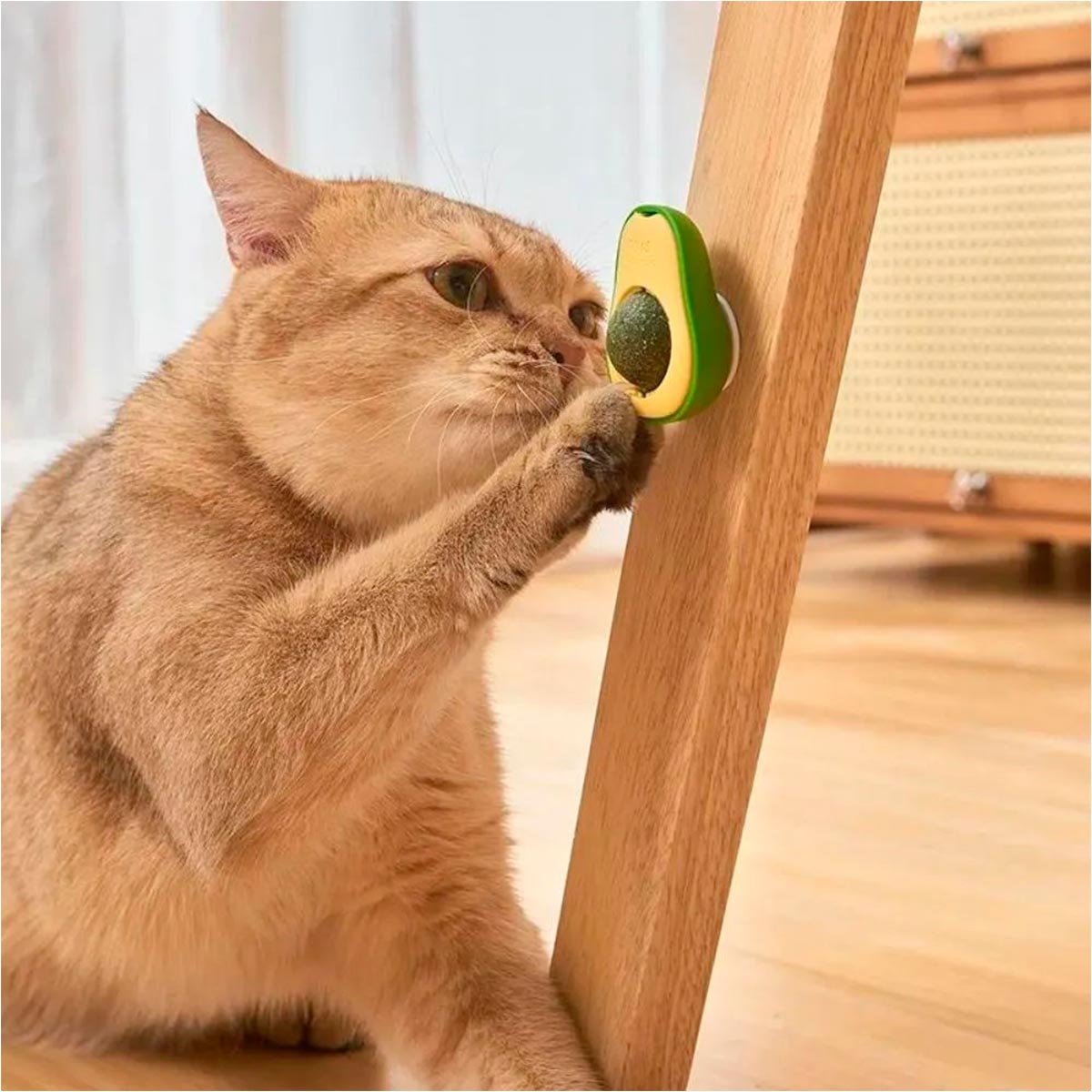 Bola giratoria de catnip para gatos Juguete antiestrés para gatos con catnip